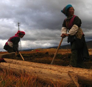 yunnan